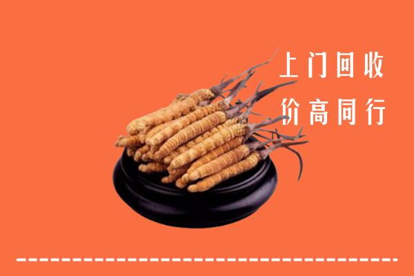高价求购：赣州市寻乌回收散虫草