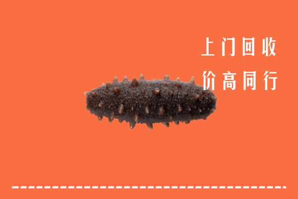 高价求购：赣州市寻乌回收海参