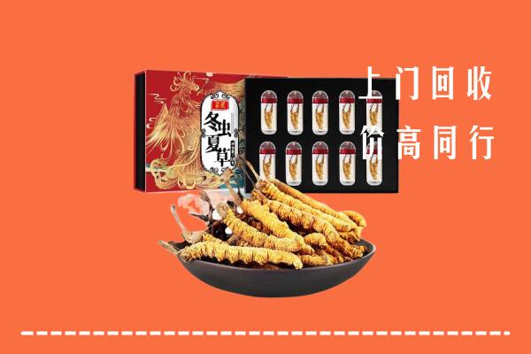 赣州市寻乌回收虫草